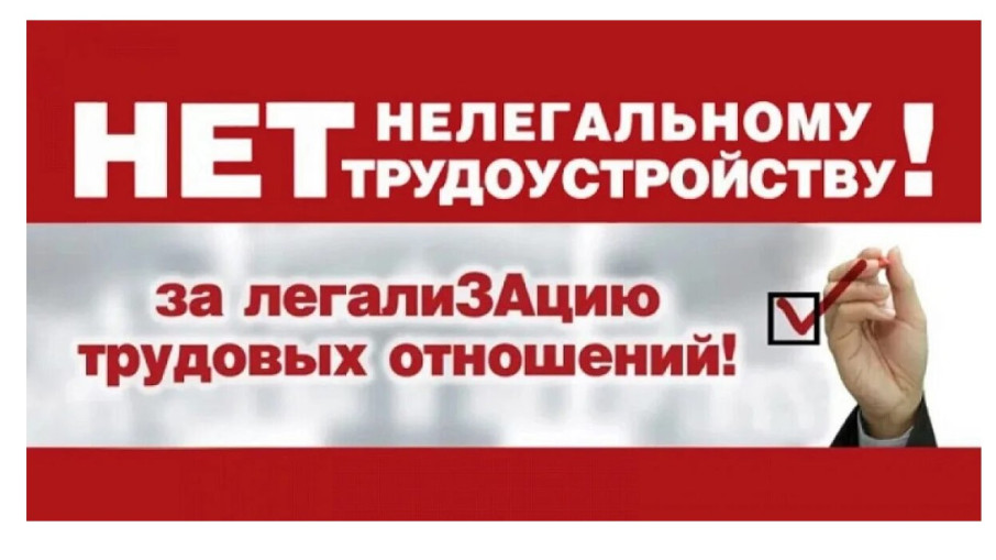 Противодействие нелегальной занятости Противодействие нелегальной занятости.