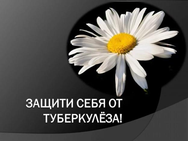 По инициативе управления Роспотребнадзора по Липецкой области с 24 марта по 24 апреля 2024 года в Липецкой области проводится месячник, приуроченный к Всемирному дню борьбы с туберкулезом. По инициативе управления Роспотребнадзора по Липецкой области с 24 марта по 24 апреля 2024 года в Липецкой области проводится месячник, приуроченный к Всемирному дню борьбы с туберкулезом.